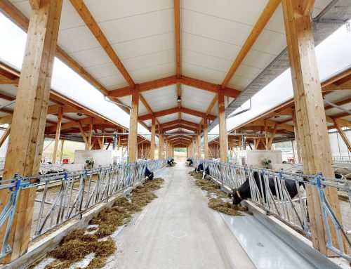 3D Scan „Green Diary“