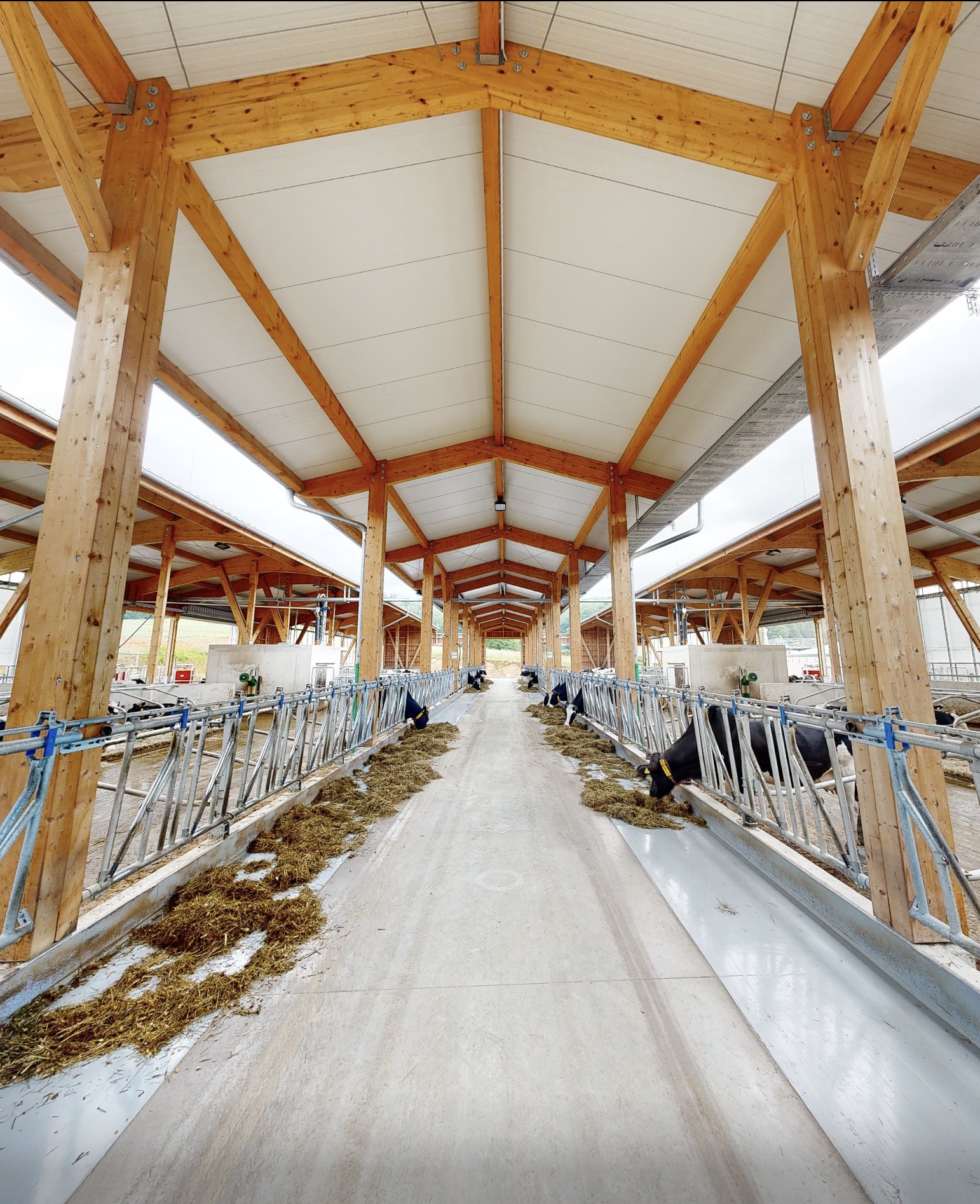 3D Scan „Green Diary“